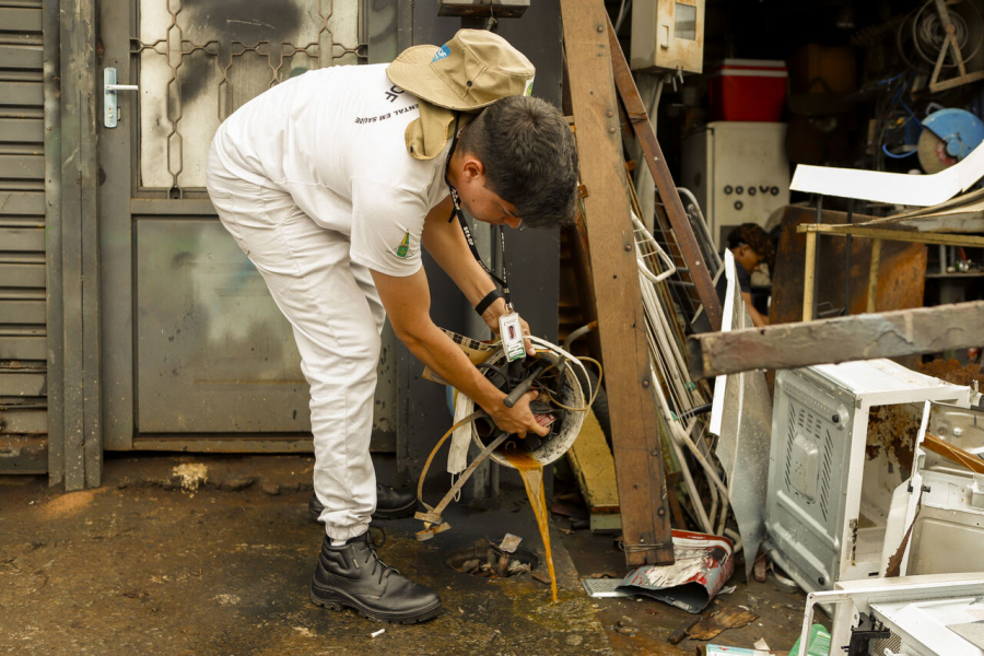 Dengue ou Chikungunya? Saiba Identificar os Sintomas e Evite Complicações Graves