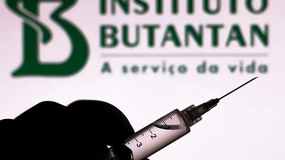 Butantan desenvolve vacina antirrábica mRNA no Brasil